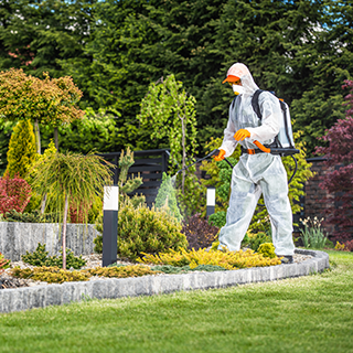 Pest control person spraying garden