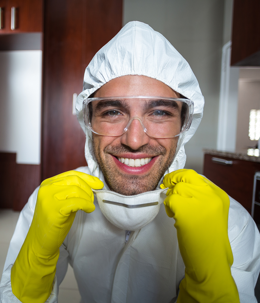 Pest Control Beverly Hills team providing effective pest solutions